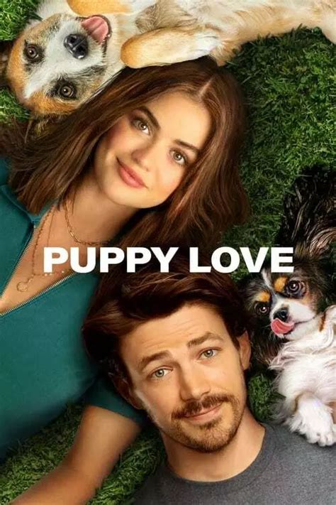 Puppy love 123movies - The hilariously mismatched Nicole and Max are forced to become responsible co-parents, but may end up finding love themselves. Starring Lucy Hale and Grant Gustin. Comedy 2023 1 hr 46 min. 42%. 14+. R. Starring Lucy Hale, Grant Gustin, Nore Davis. Director Nick Fabiano, Richard Alan Reid.